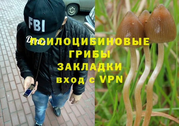мяу мяу кристалл Коряжма