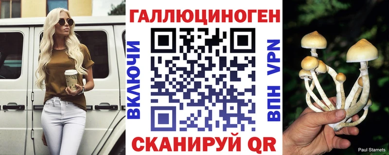 Псилоцибиновые грибы Psilocybe  Купить  Белокуриха 