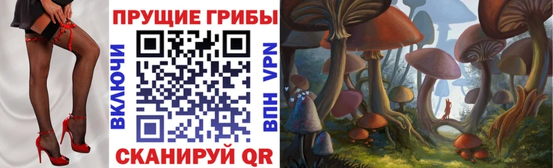 Псилоцибиновые грибы прущие грибы Белокуриха